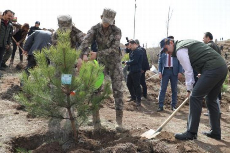 Sivas’ta ‘Polis Hatıra Ormanı’ oluşturuldu