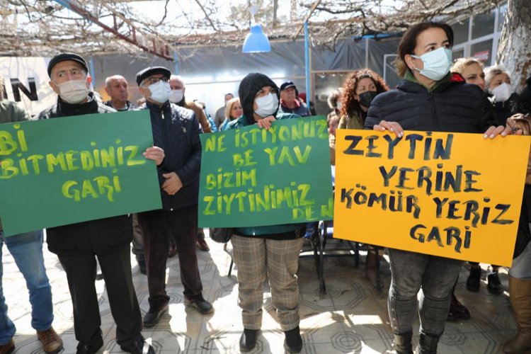 “Bu medeniyet doğayı katletmemelidir”