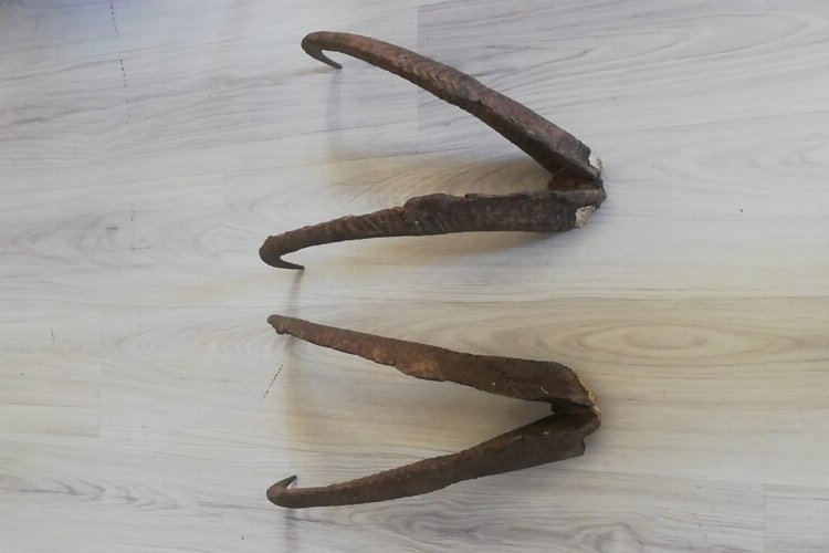 Adıyaman’da evde ‘boynuz’a 513 bin liralık ceza!