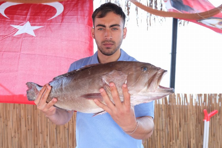 Taze balık mezattan sofraya