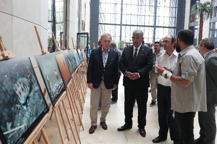 200 fotoğrafçı Kütahya’yı fotoğrafladı