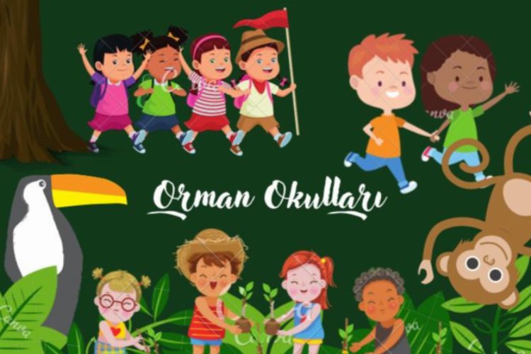 Bursa’da gençlerden doğa sevdiren bir proje: Orman Okulu