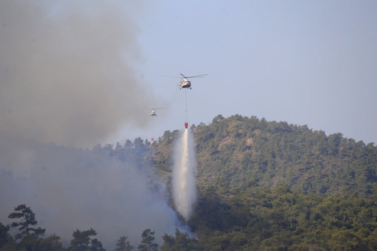 Devlet ‘yeşil vatan’ için seferber