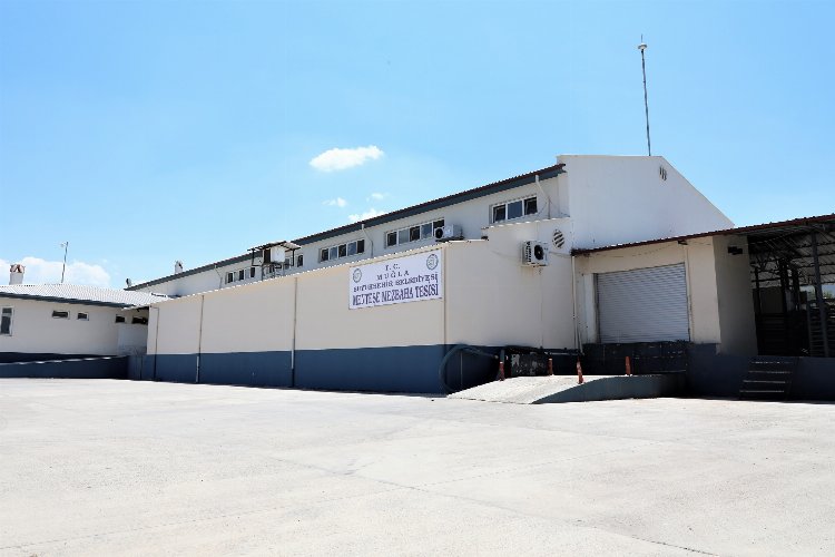 Muğla’da modern mezbahalar hizmet veriyor