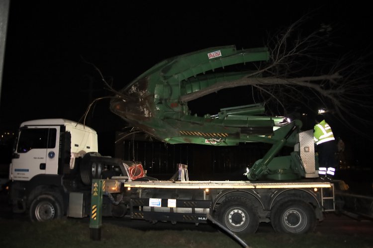 Bursa Büyükşehir’den ağaç mesaisi