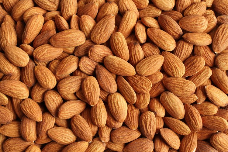 Muğla’dan badem üreticisine destek