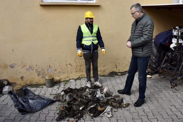 Bursa’da leylek yavrularına 5 yıllık hizmet