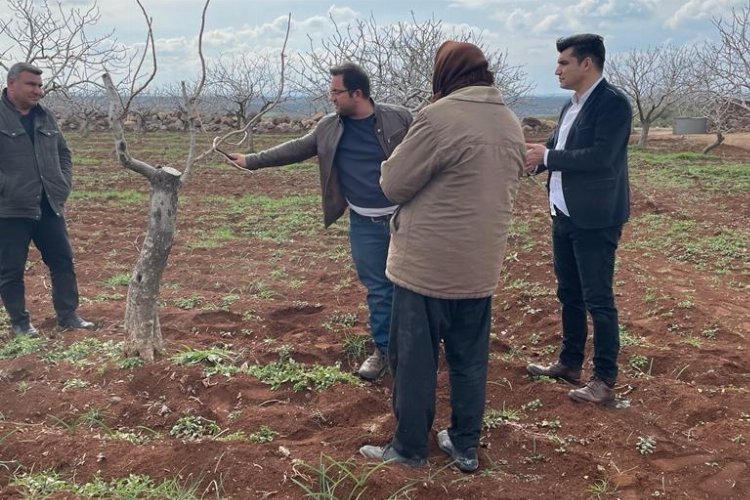 Kilis’te Antepfıstığı üreticileri bilgilendirildi