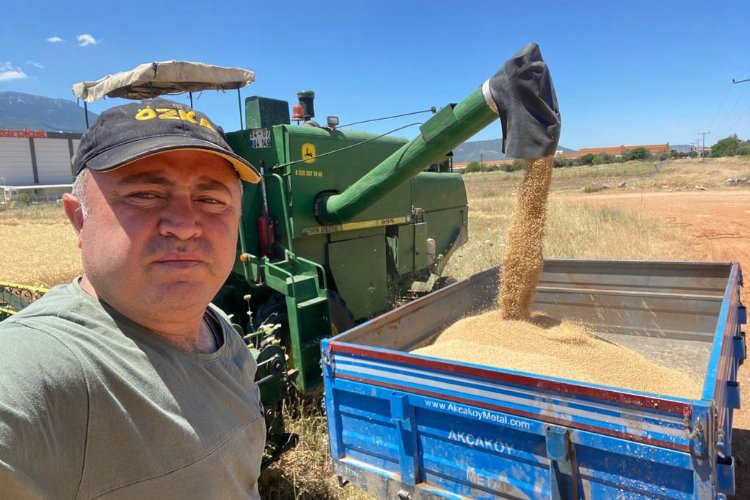 İzmir’de buğday hasadı yüz güldürmedi