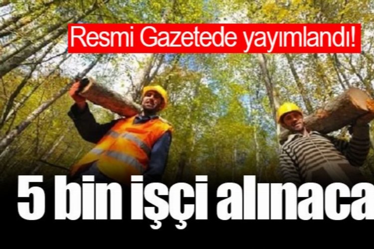 Türkiye geneli, 5 bin yangın işçisi alınacak!